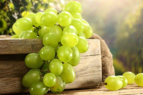 White Grape Juice Concentrate